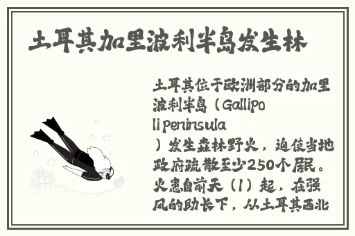 女人和公豬交交30分钟视频